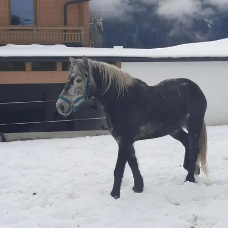 Obenfigerhof Kals-am Großglockner