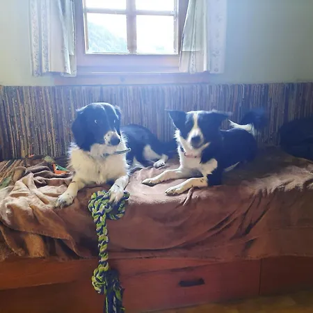 Lägenhet Obenfigerhof *