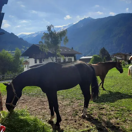 Obenfigerhof Lägenhet Kals-am Großglockner