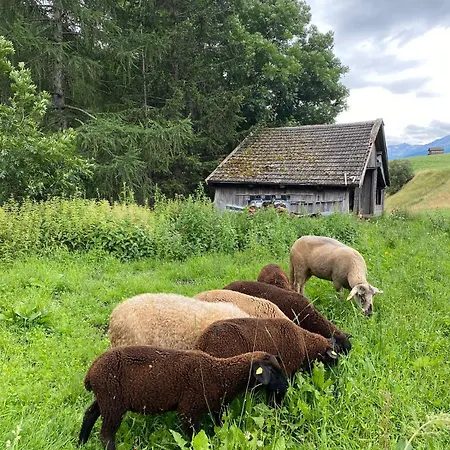 Lägenhet Obenfigerhof *