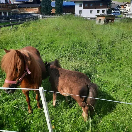 Obenfigerhof