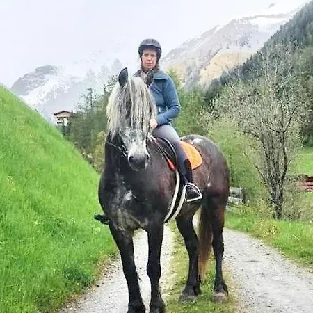 Apartment Obenfigerhof *