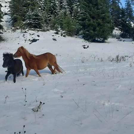 Obenfigerhof アパート Kals-am Großglockner