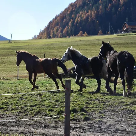 Obenfigerhof Апартаменты Кальс-ам-Гросглоккнер