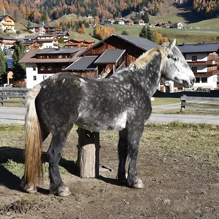 Obenfigerhof *