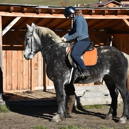 Apartment Obenfigerhof