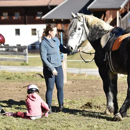 Obenfigerhof Apartment *