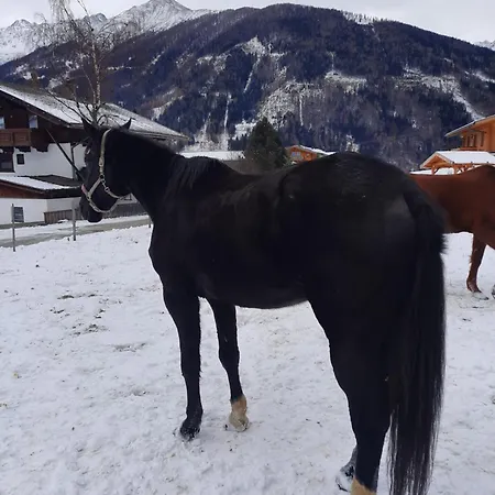 Obenfigerhof Kals-am Großglockner