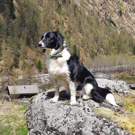 Obenfigerhof アパート Kals-am Großglockner