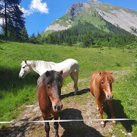 Obenfigerhof *