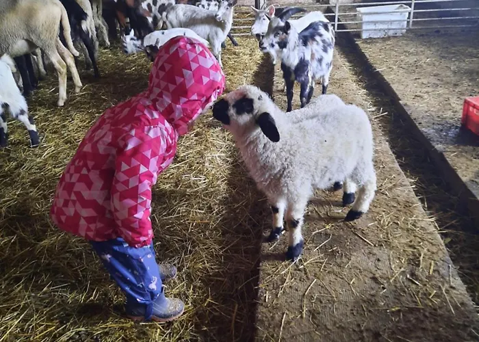 Apartament Obenfigerhof *