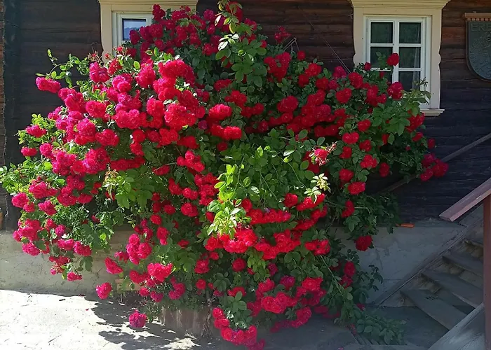 Obenfigerhof Kals-am Großglockner
