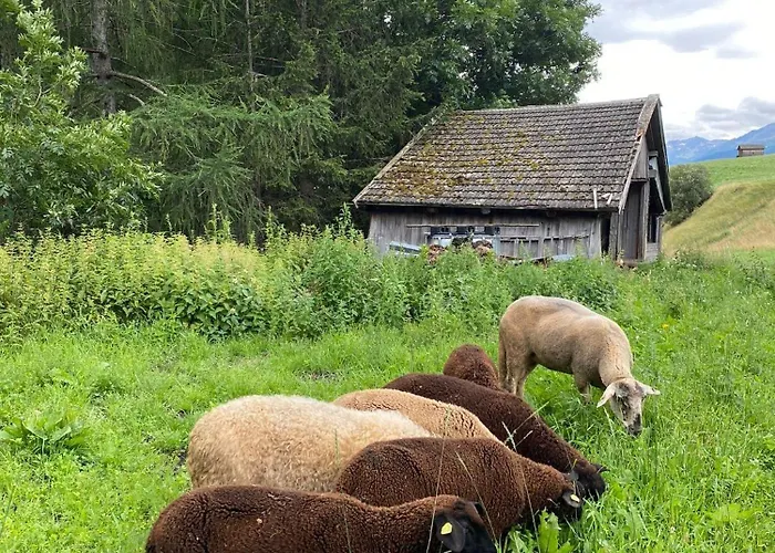 Apartament Obenfigerhof *