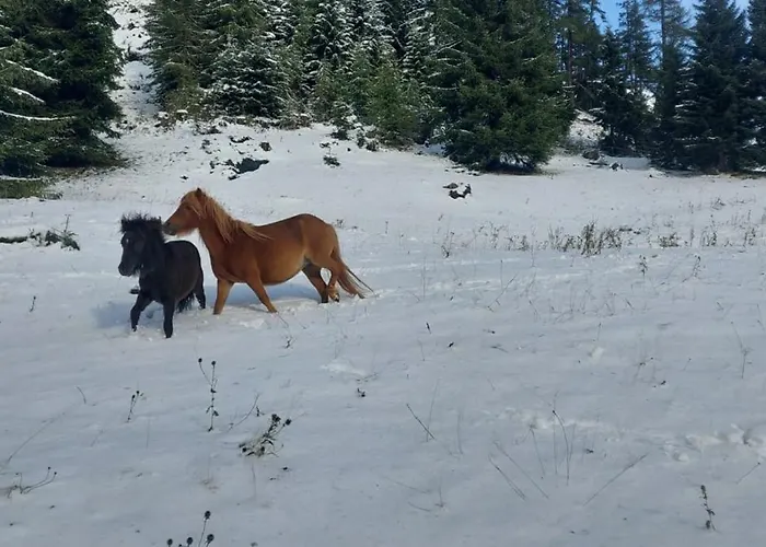 Obenfigerhof Apartament Kals-am Großglockner