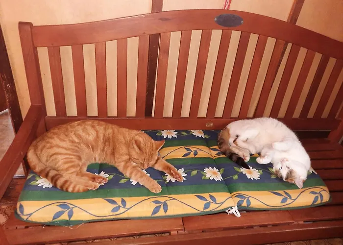 Apartament Obenfigerhof