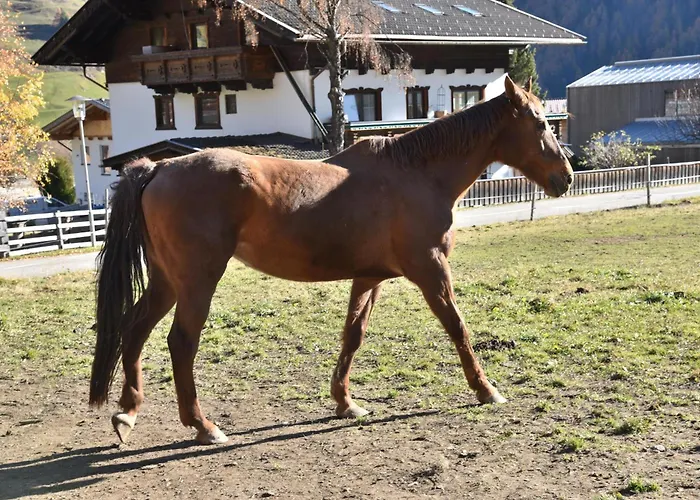 Obenfigerhof Apartament