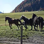 Obenfigerhof Apartament Kals-am Großglockner