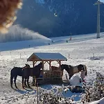 Obenfigerhof *