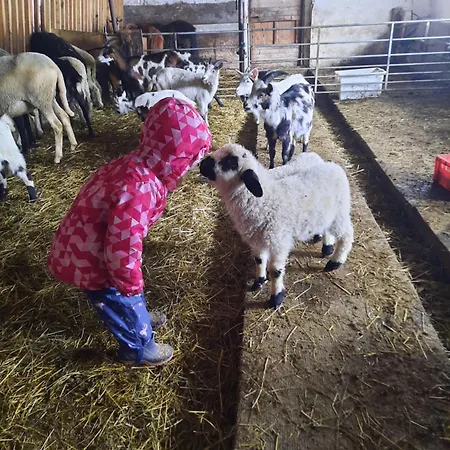 Apartman Obenfigerhof *