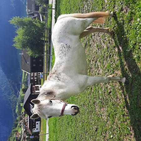 Apartman Obenfigerhof *