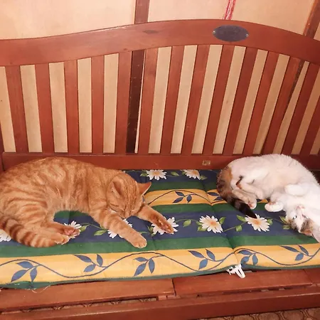 Apartman Obenfigerhof