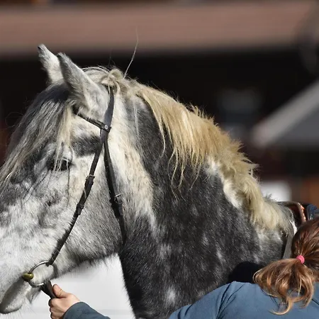 Obenfigerhof Apartman