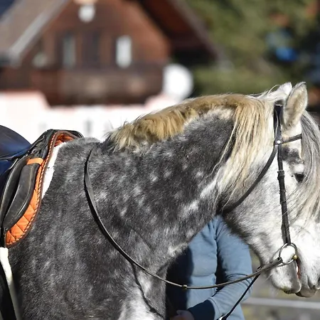 Obenfigerhof Apartman Kals-am Großglockner