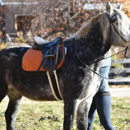 Obenfigerhof Apartman