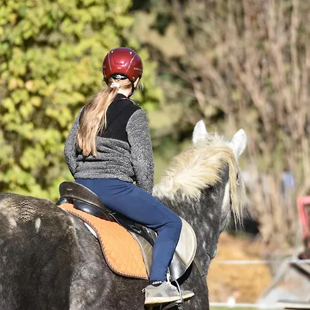 Apartman Obenfigerhof