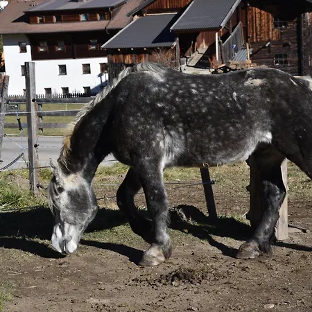 Apartman Obenfigerhof Kals-am Großglockner
