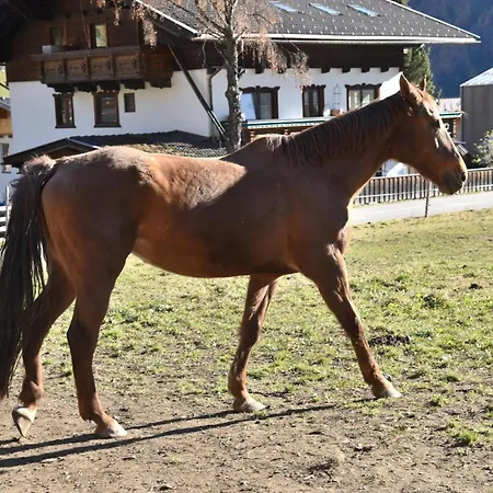 Obenfigerhof Apartman