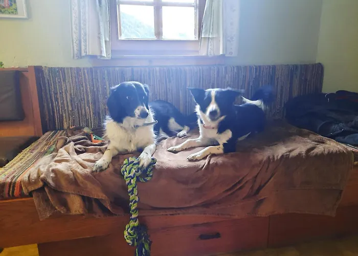 Διαμέρισμα Obenfigerhof *