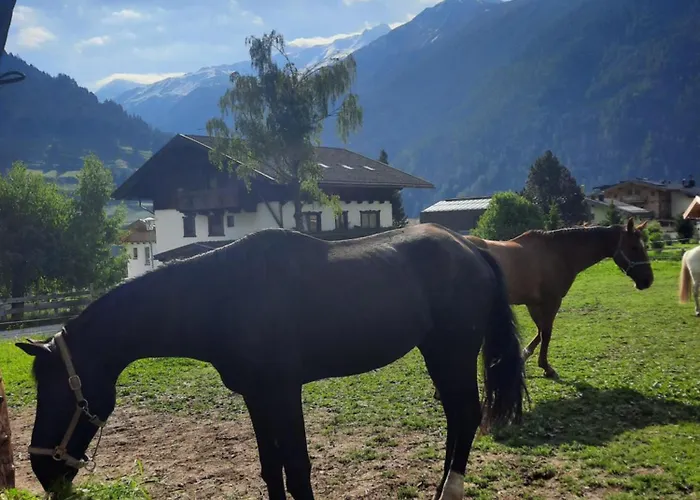 Obenfigerhof Διαμέρισμα Kals-am Großglockner