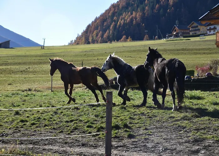 Obenfigerhof Διαμέρισμα Kals-am Großglockner