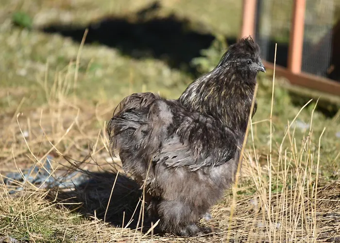 Διαμέρισμα Obenfigerhof Kals-am Großglockner