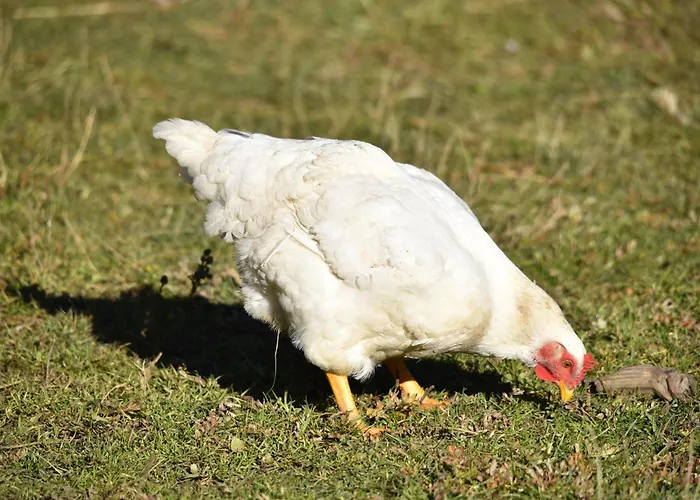 Διαμέρισμα Obenfigerhof *